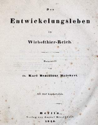 Bild Nr.1: 141-1751 Reichert,K.B.: (Zoologie)