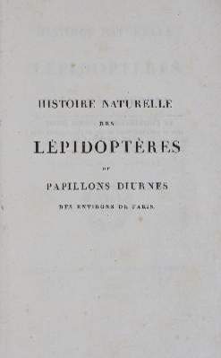 Bild Nr.3: 141-1753 Godart,J. u. P.Duponchel.: (Zoologie, Schmetterlinge)