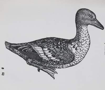 Bild Nr.3: 141-1758 Gessner,C.: (Zoologie, Vögel)