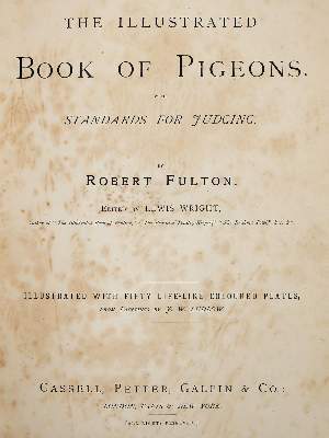 Bild Nr.1: 141-1759 Fulton,R.: (Zoologie, Vögel, Tauben)