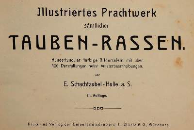 Bild Nr.1: 141-1761 Schachtzabel,E.: (Zoologie, Vögel, Tauben)