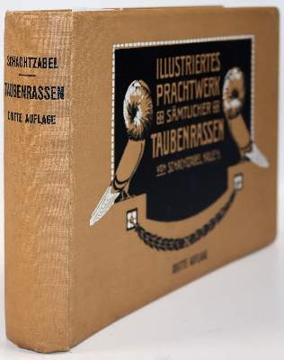 Bild Nr.6: 141-1761 Schachtzabel,E.: (Zoologie, Vögel, Tauben)