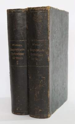 Bild Nr.3: 141-1763 Wallace,A.R.: (Zoologie)