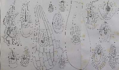 Bild Nr.1: 141-1784 Atti della Riunione: (Verschiedene Gebiete - Varia)
