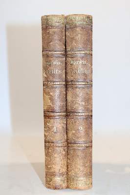 Bild Nr.3: 141-1809 Darwin,C.: (Verschiedene Gebiete - Varia)