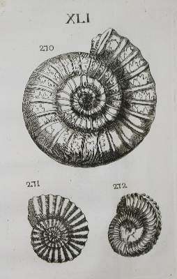 Bild Nr.2: 141-1824 Bourget,L.: (Verschiedene Gebiete - Varia, Geologie - Mineralogie u. Paläontologie)