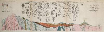 Bild Nr.2: 141-1825 Buckland,W.: (Verschiedene Gebiete - Varia, Geologie - Mineralogie u. Paläontologie)