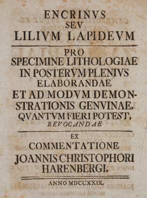 Bild Nr.1: 141-1827 Harenberg, Johann Christoph.: (Verschiedene Gebiete - Varia, Geologie - Mineralogie u. Paläontologie)