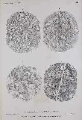 Bild Nr.4: 141-1836 Tschermak,G.: (Verschiedene Gebiete - Varia, Geologie - Mineralogie u. Paläontologie)