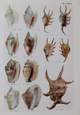 Bild Nr.3: 141-1843 Hoikusha Illustrated Natural History: (Verschiedene Gebiete - Varia)