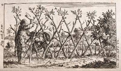 Bild Nr.1: 141-1889 Krünitz,J.G.: (Verschiedene Länder - Geschichte)