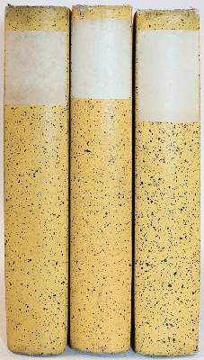 Bild Nr.3: 141-1929 Hittorf,J.W.: (Verschiedene Gebiete - Varia, Physik)