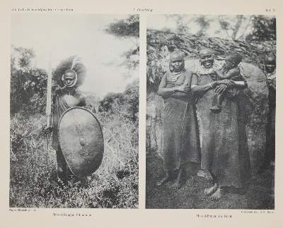 Bild Nr.2: 141-1950 Sjöstedt,Y.: (Verschiedene Gebiete - Varia)