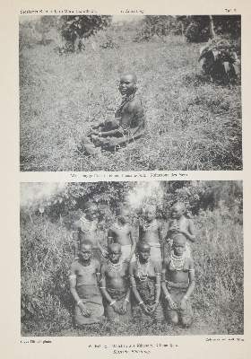 Bild Nr.3: 141-1950 Sjöstedt,Y.: (Verschiedene Gebiete - Varia)