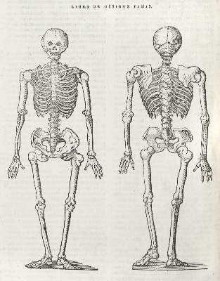 Bild Nr.3: 141-197 Lacuna,A.: (Alte Drucke, Handschriften und Theologie)