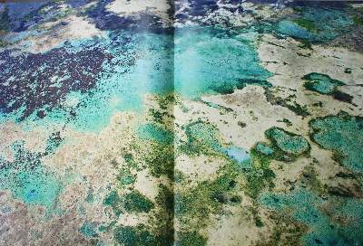 Bild Nr.6: 141-1982 Poliza,M.: (Afrika)