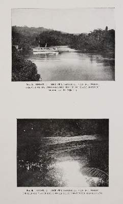 Bild Nr.2: 141-2013 Adriani,N. u. A.C.Kruijt.: (Asien)