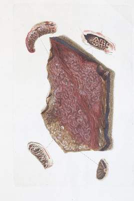 Bild Nr.12: 141-2164 Becker,W.G.: (Deutschland, Sachsen)