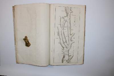 Bild Nr.8: 141-2292 Bel Pierre.: (Schweiz, Bern)