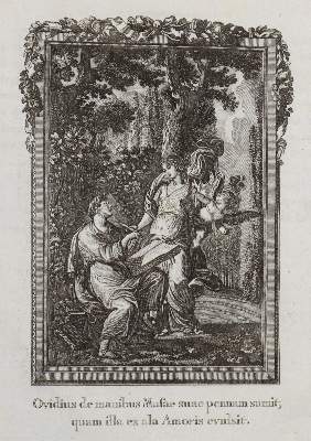 Bild Nr.11: 141-246 Ovidius,N.P.: (Alte Drucke, Handschriften und Theologie)