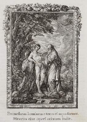 Bild Nr.13: 141-246 Ovidius,N.P.: (Alte Drucke, Handschriften und Theologie)