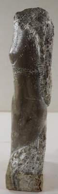 Bild Nr.5: 141-2907 Unbekannter Künstler.: (Skulpturen - Plastiken)