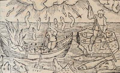 Bild Nr.5: 141-294 Olaus Magnus.: (Skandinavien)
