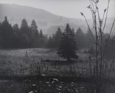 Bild Nr.3: 141-3024 Wimmer, Hed: (Photographie)