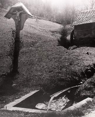Bild Nr.6: 141-3024 Wimmer, Hed: (Photographie)