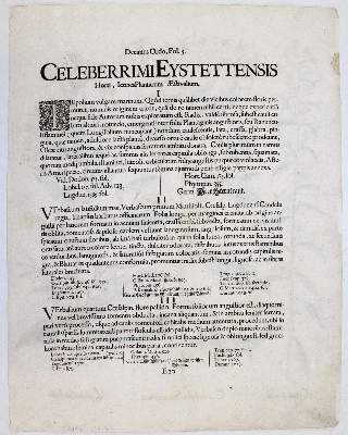 Bild Nr.2: 141-3036 Fluß-Kreuzkraut, Goldrute, Felberich.: (Varia, Botanik, Besler)