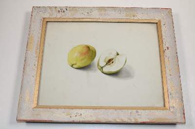 Bild Nr.20: 141-3042 Blaschek,Franz. (1787-1868): (Varia, Botanik)