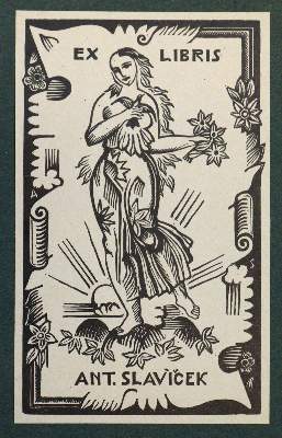 Bild Nr.10: 141-3061 Sammlung: (Varia, Exlibris)