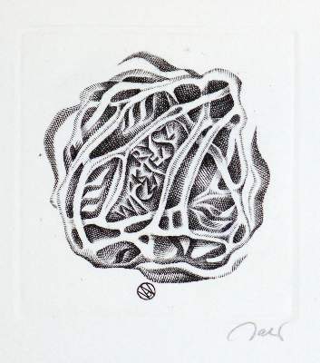 Bild Nr.8: 141-3061 Sammlung: (Varia, Exlibris)