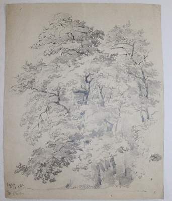 Bild Nr.4: 141-3089 Konvolut: (Varia)
