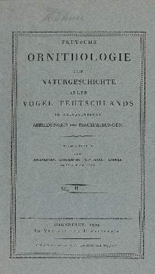 Bild Nr.2: 141-3148 Vögel.: (Varia, Zoologie)