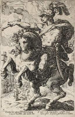 Bild Nr.1: 141-3149 Vögel.: (Varia, Zoologie)