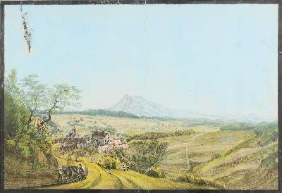 Bild Nr.1: 141-3160 Blumenfeld.: (Deutschland)