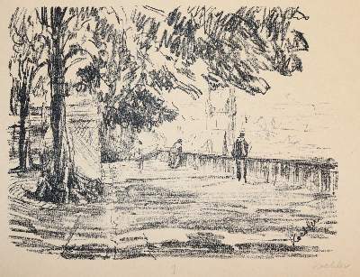 Bild Nr.1: 141-3170 Koehler, Hendrik: (Deutschland, Freiburg/Br.)