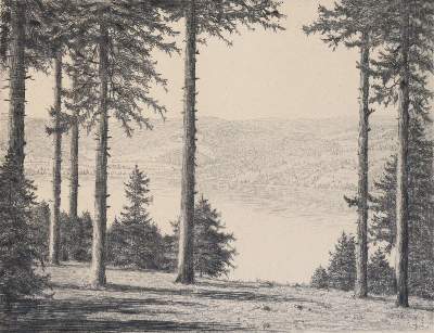 Bild Nr.13: 141-3242 Sammlung: (Deutschland)
