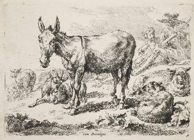 Bild Nr.1: 141-3473 Berchem, Nicolaes: (Künstlergraphik)