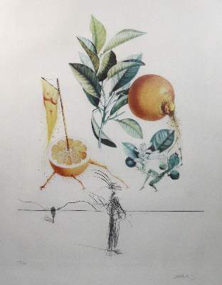 Bild Nr.1: 141-3573 Dali, Salvador: (Künstlergraphik)
