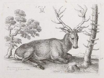 Bild Nr.1: 141-3623 Hollar, Wenzel: (Künstlergraphik, Dürer)