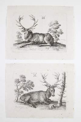 Bild Nr.2: 141-3623 Hollar, Wenzel: (Künstlergraphik, Dürer)