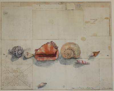 Bild Nr.4: 141-3848 Janssen, Horst: (Künstlergraphik)