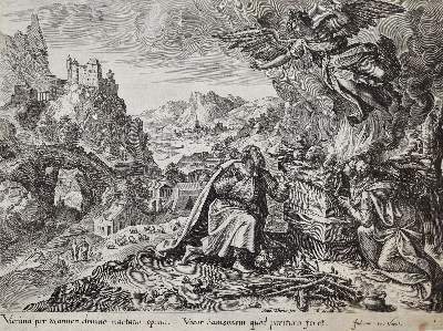 Bild Nr.1: 141-3876 Jode, Gerard de: (Künstlergraphik)