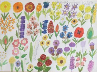 Bild Nr.1: 141-4177 Raffler, Max: (Künstlergraphik, Naive Kunst)