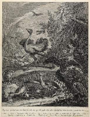 Bild Nr.3: 141-4336 Ridinger, Johann Elias: (Künstlergraphik)