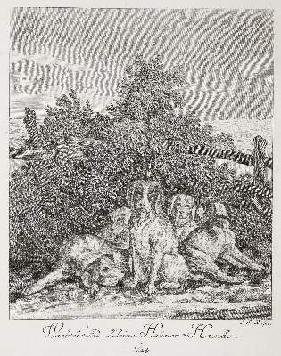Bild Nr.1: 141-4337 Ridinger, Johann Elias: (Künstlergraphik)
