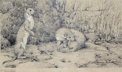 Bild Nr.1: 141-4484 Stoetzner-Lund, Victor: (Künstlergraphik)