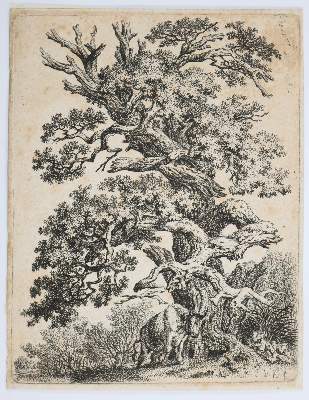 Bild Nr.5: 141-4519 Tiere und Landschaften.: (Künstlergraphik)